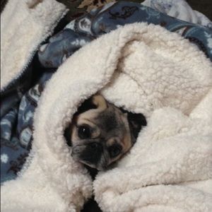 Meet your Posher, Dorene